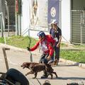 Svetovno prvenstvo reševalnih psov