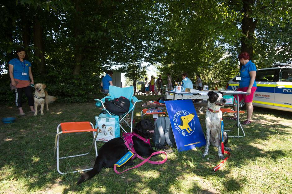 tačke pomagačke | Avtor: Anže Petkovšek