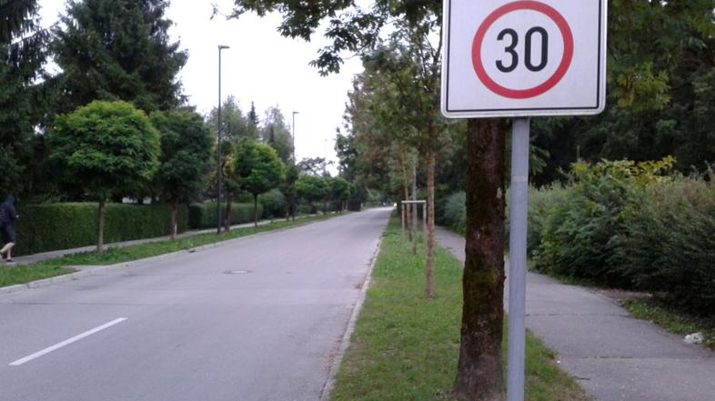 Cona 30, Koprska ulica