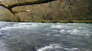 Zaradi obilnega deževja lahko narasejo nekatere reke.