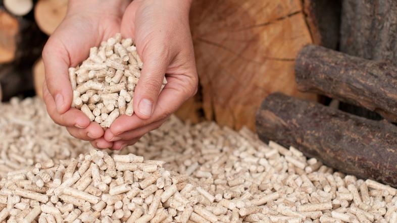 razno 16.01.14. peleti, foto: shutterstock