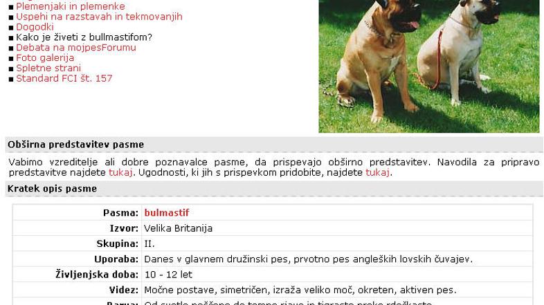 Na sliki naj bi bila dva izmed štirih bulmastifov, ki so marca 2006 na Oražnovi 