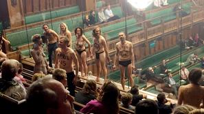 britanski parlament protestniki