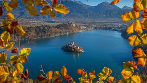 Bled Jesen