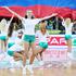 Slovenija Ukrajina EuroBasket Stožice Ljubljana zastava navijačice plesalke