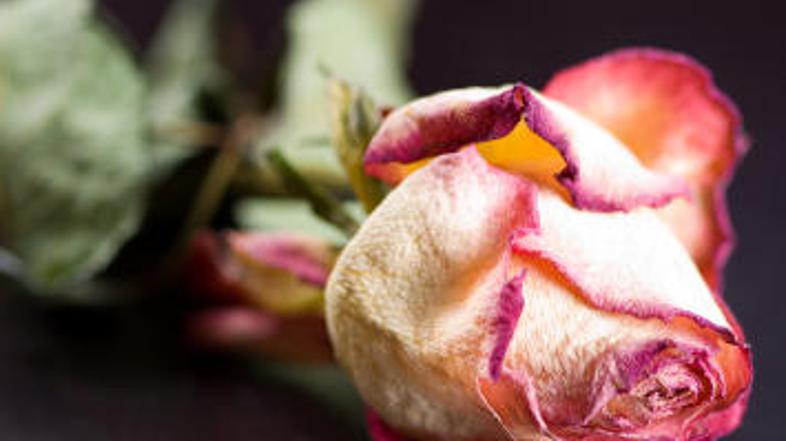 Čutite, da vam kožo zateguje in da je na dotik hrapava?