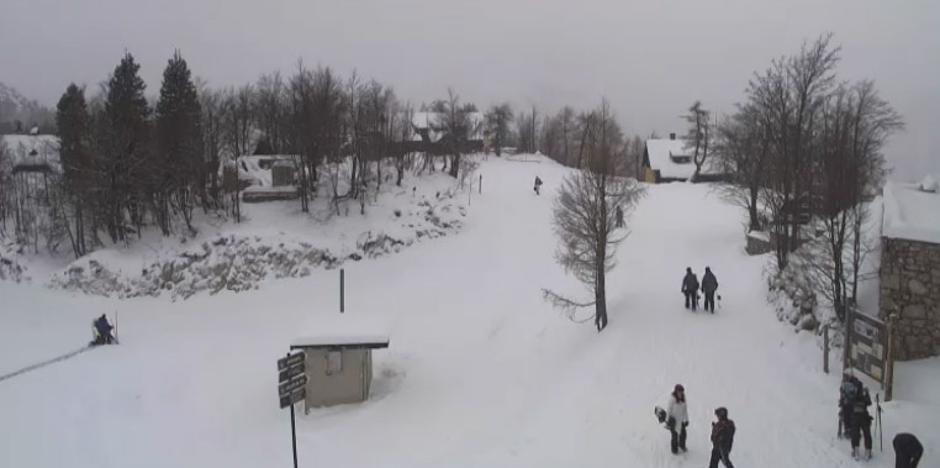 Vogel | Avtor: Printscreen spletna kamera