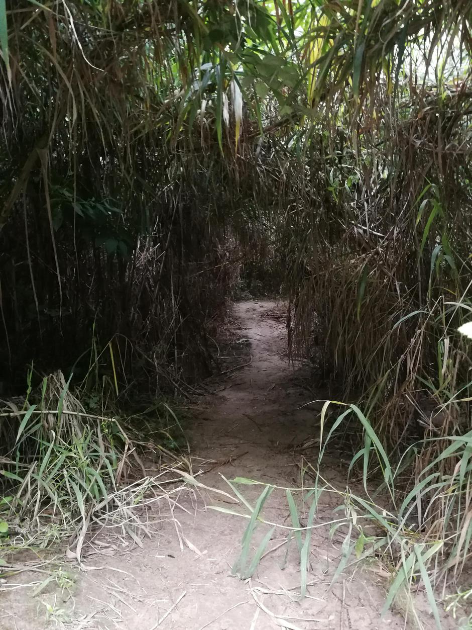 Otok Susak | Avtor: Martin Pavlovec