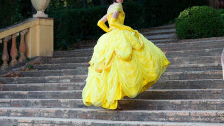 Kaj pa, če Pepelka na koncu ne bi pristala s princem?