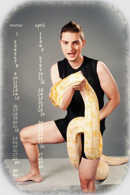 Damjan Murko, koledar