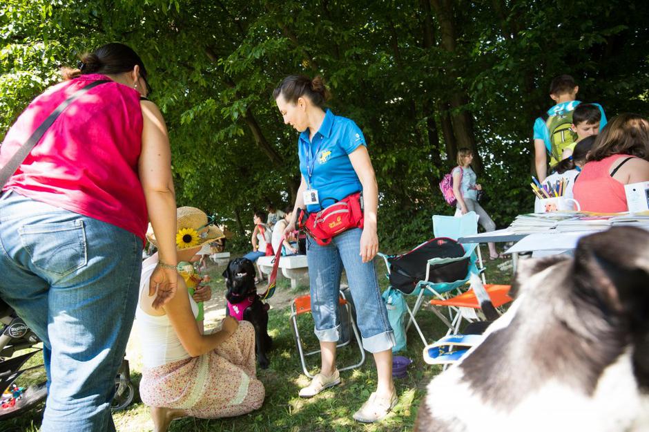tačke pomagačke | Avtor: Anže Petkovšek