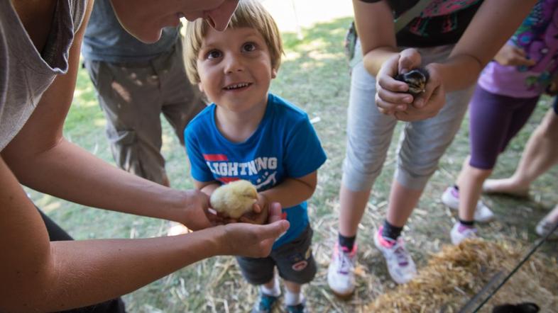 Festival za ljubitelje živali