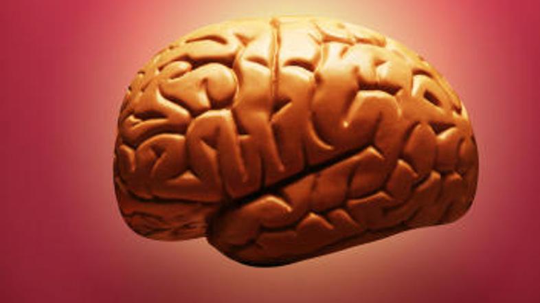 Duševnost je občutljiva.