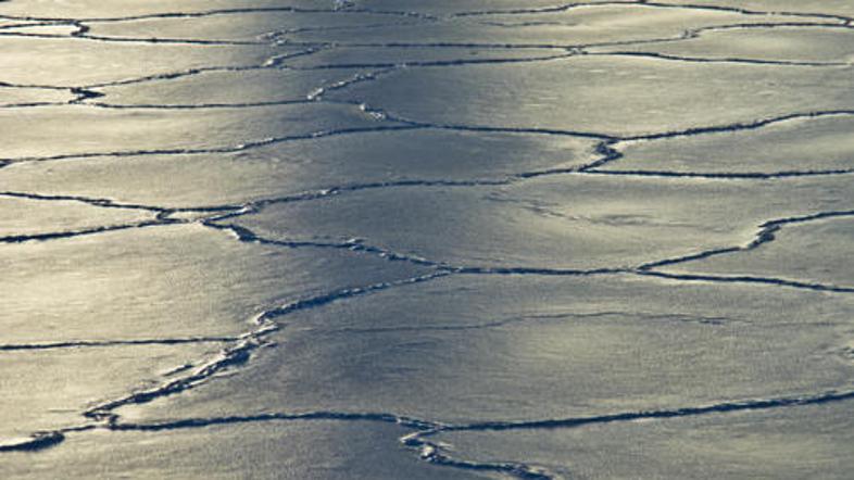 (Foto: Shutterstock)