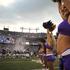 navijačice baltimore ravens nfl