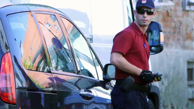 slovenija 16.08.13. redar, maribor, foto: nino verdnik