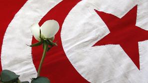 Bela vrtnico pred tunizijsko zastavo mesec po revoluciji.