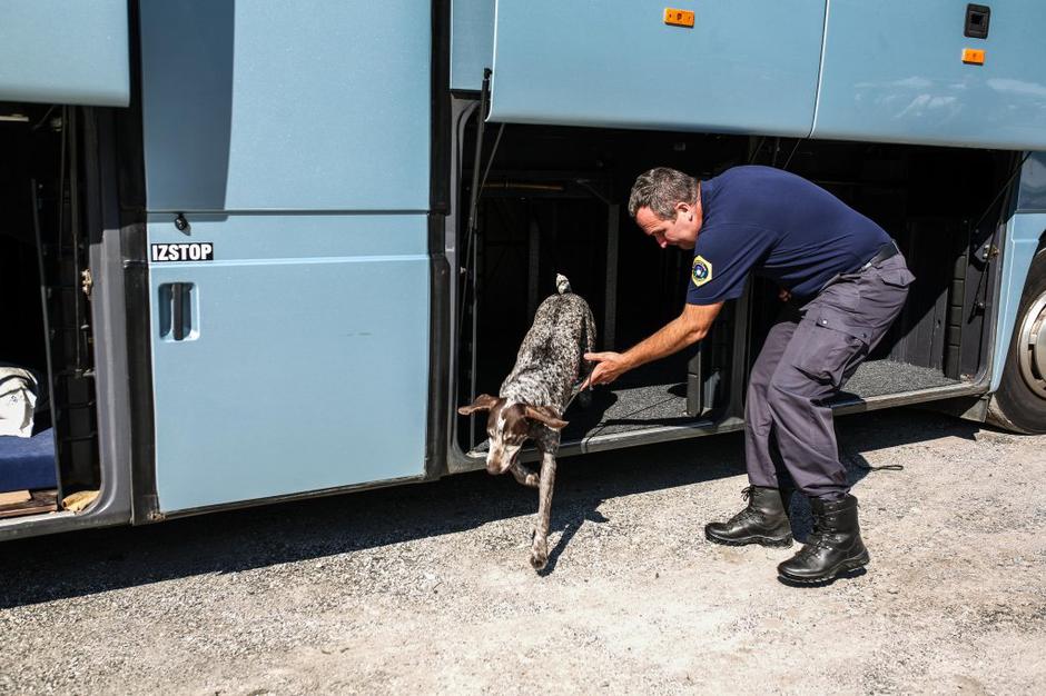 Putin | Avtor: Saša Despot