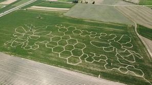 Koruzni labirint v Kranju