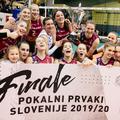 Nova KBM Branik : Calcit Volley