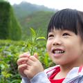 kitajska otrok čaj