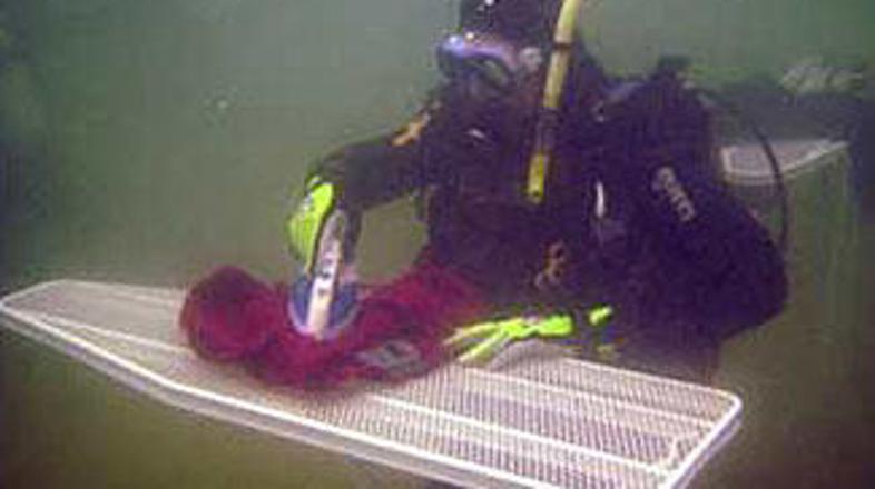 Pritisk vode lahko nadomesti elektriko. Si upate?