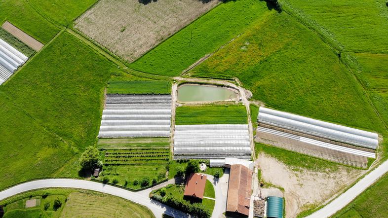 Biodinamična kmetija Černelič