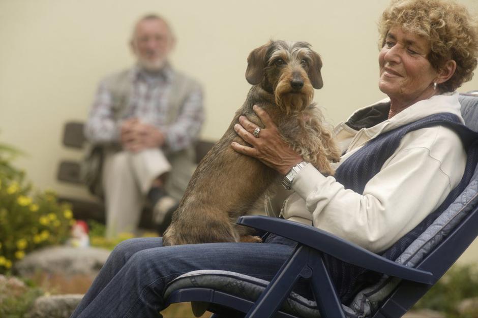 Pes starejši človek | Avtor: Profimedias