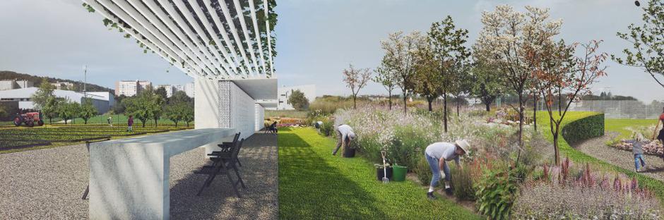 Pogled na vričke | Avtor: Žurnal24 main