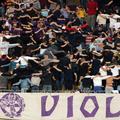 Viole obljubljajo zgledno športno navijanje, le z glasilkami, šali in zastavami.
