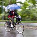 kolo kolesar dežnik