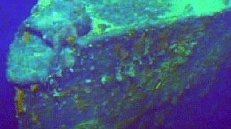 Dantona so našli nekaj kilometrov stran od mesta, na katerem naj bi po mnenju mn