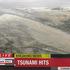 Potres in cunami na Japonskem