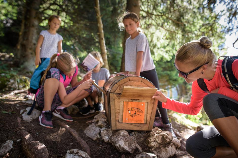 Pot pastirskih škratov | Avtor: RTC Krvavec