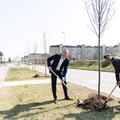 Župan MOK Matjaž Rakovec in predsednik uprave Gorenjske banke Mario Henjak sta simbolično zasadila enega od dreves