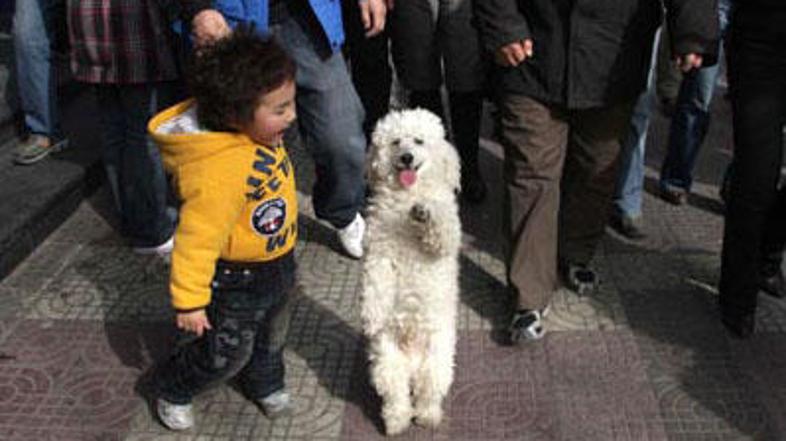 Kamorkoli pride, pokaže, kaj zna.