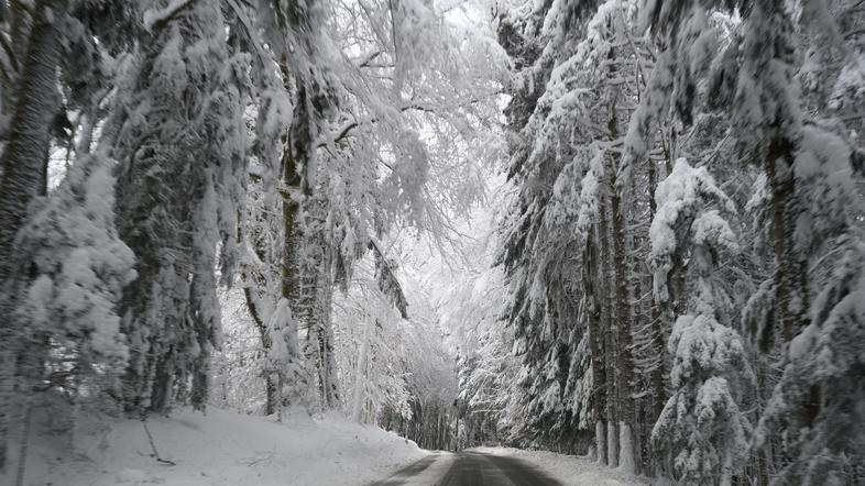 Sneg, Avstrija