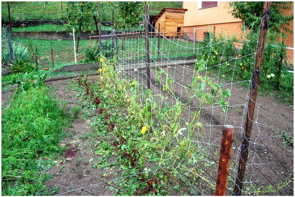 Boštanj, Sevnica, neurje, toča