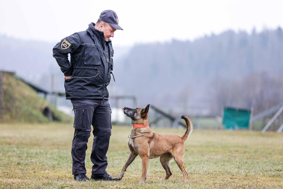 oddelek za šolanje službenih psov Gmajnice, policijski psi, šolanje psov | Avtor: Saša Despot