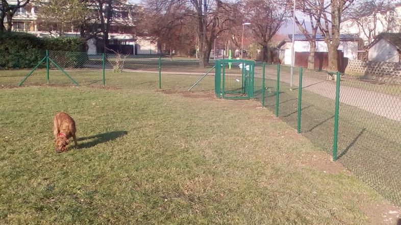 Pasje igrišče Koseze