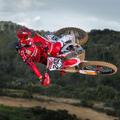 Tim Gajser