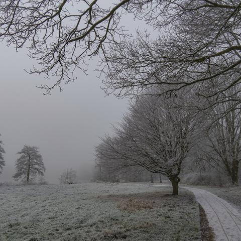 zima mraz zmrzal nizke temperature slana ivje