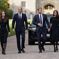 kate, willaim, harry, meghan