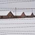 Auschwitz