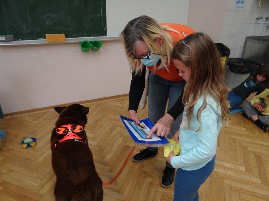 Ambasadorji nasmeha | Avtor: Ambasadorji nasmeha