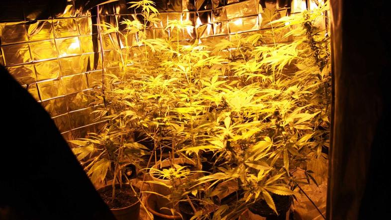 Takole je bil videti laboratorij Trboveljčana. (Foto: PU Ljubljana)