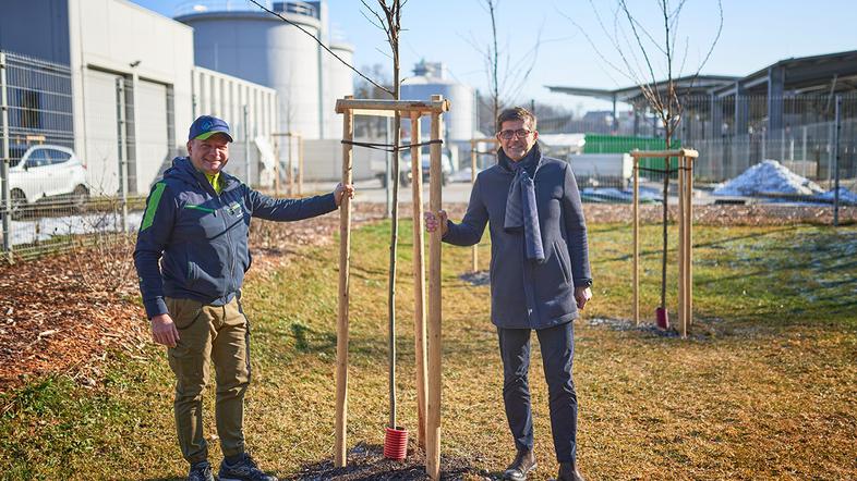 drevored, Matjaž Berčon, Matjaž Rakovec