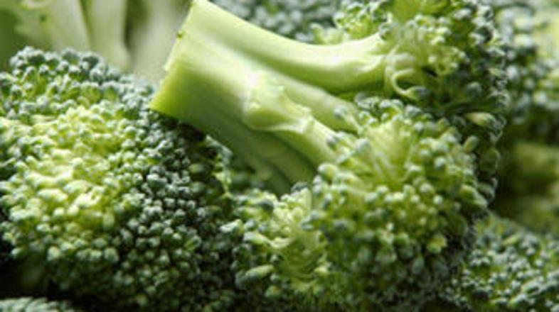 Snov v brokoliju bi lahko omejila dejavnike, ki peljejo do resnih bolezni pljuč.