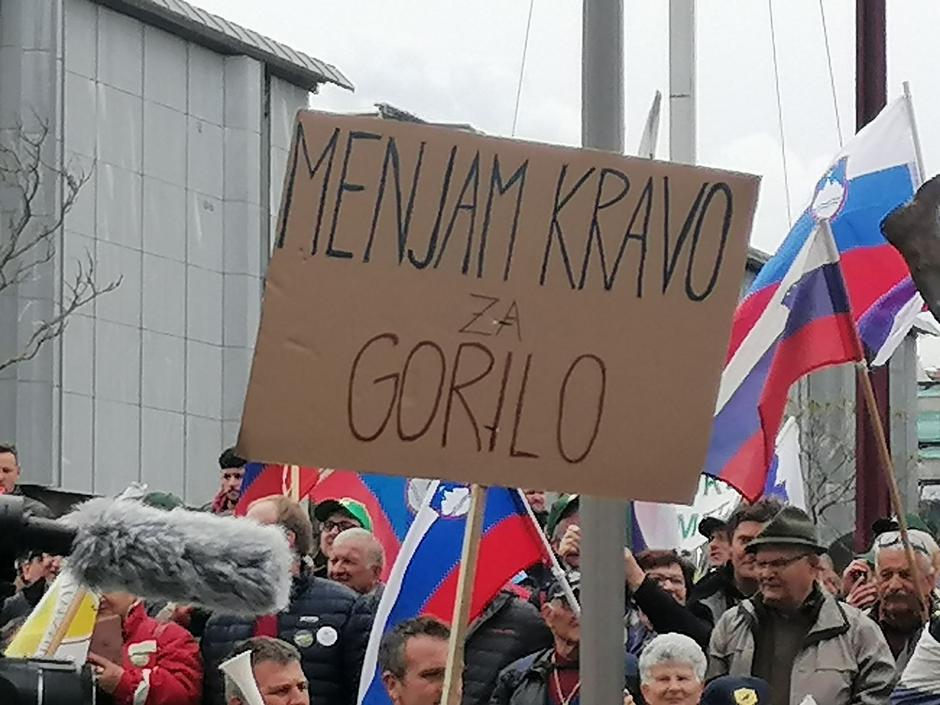 Protest kmetov v Ljubljani | Avtor: Vanda Levstik