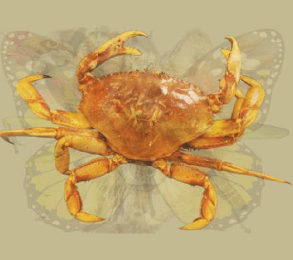 Test | Avtor: Tumblr